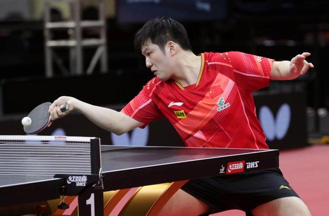 采集竹叶 采集竹叶